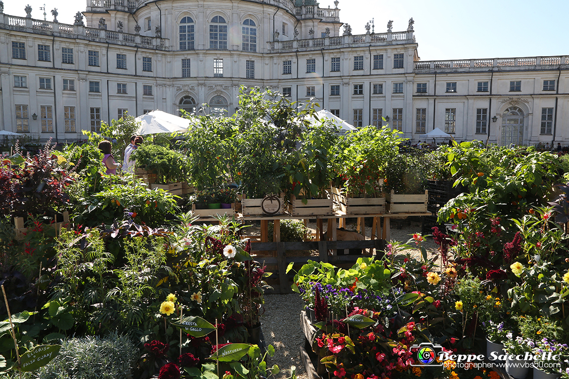 VBS_2443 - FloReal 2021 alla Palazzina di Caccia di Stupinigi.jpg